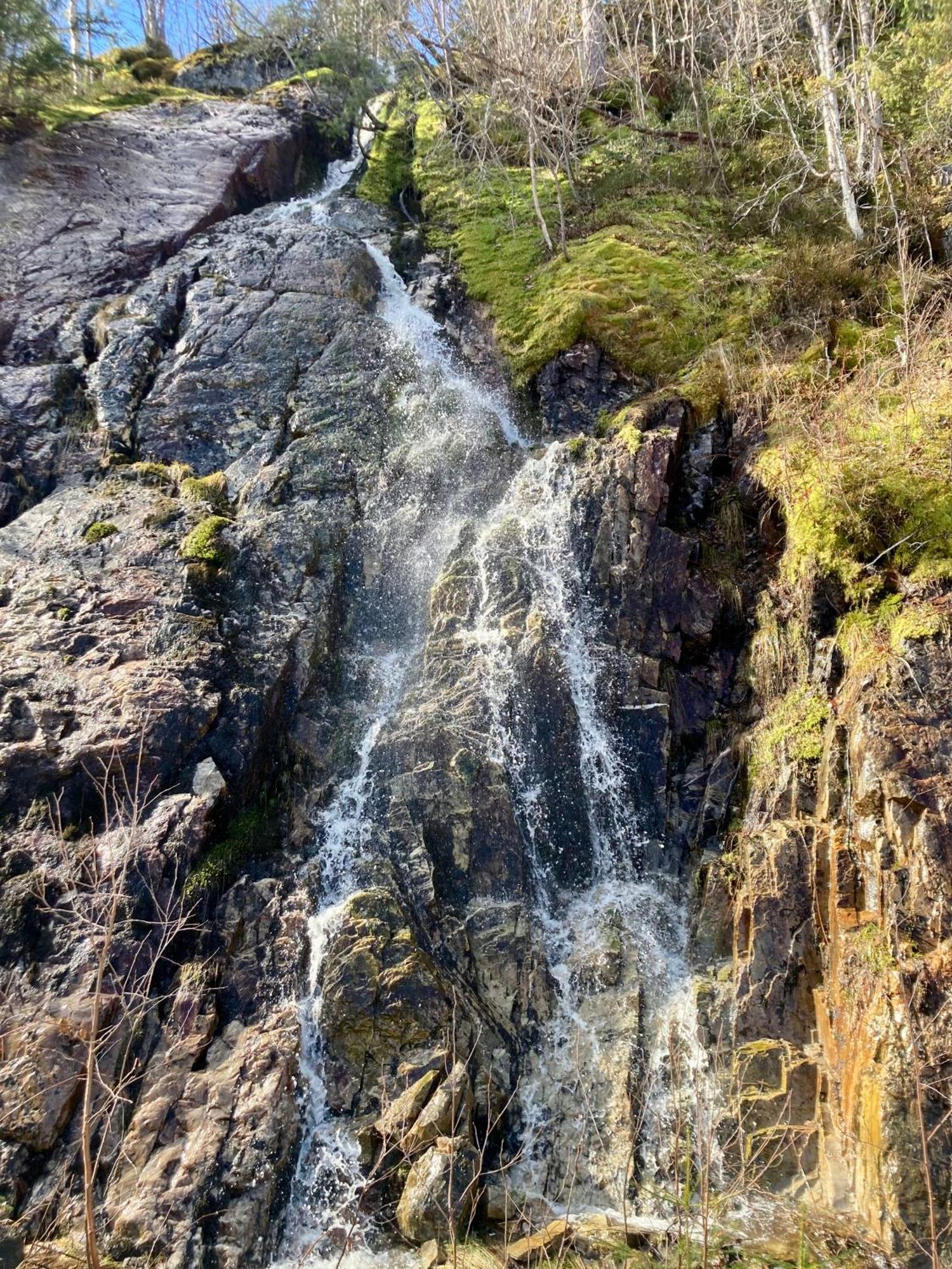 Friheten! Notodden Exteriér fotografie