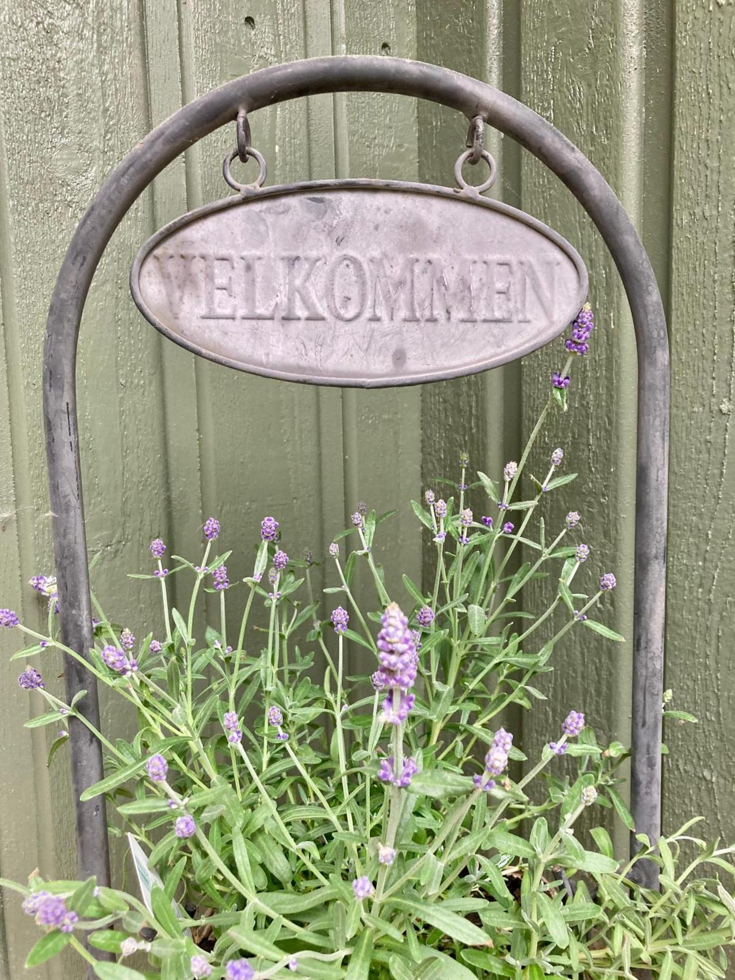 Friheten! Notodden Exteriér fotografie