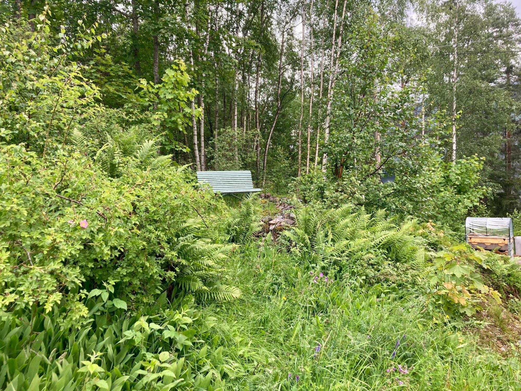 Friheten! Notodden Exteriér fotografie